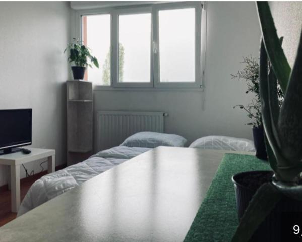 Zenith Strasbourg 2 Chambre Eckbolsheim Eksteriør billede